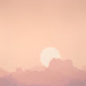 Meet your Posher, Anna dean